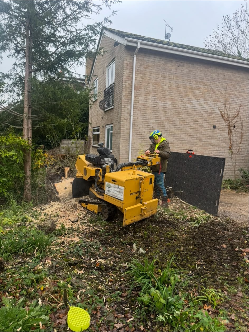 Rayco tracked stump grinder working alongside a house, grinding out a large tree stump